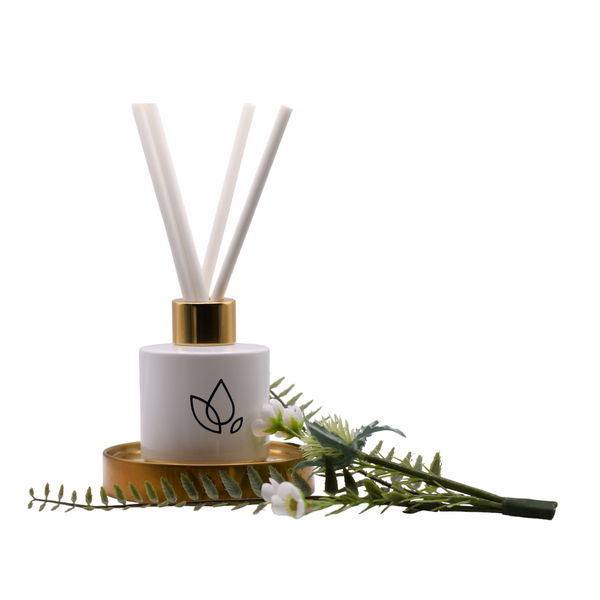 What Are Reed Diffusers?